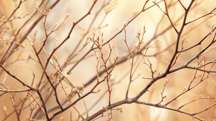 The branches are a warm brown color, creating a natural and harmonious color palette.