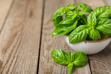 Green basil leaves on a textured wooden background. Kitchen herbs, spices. Fresh green organic basil. Vegan. Greens for salad. Place for text. Copy space.