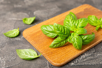 Green basil leaves on a textured wooden background. Kitchen herbs, spices. Fresh green organic basil. Vegan. Greens for salad. Place for text. Copy space.