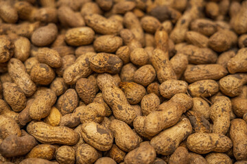 Raw In-Shell Peanuts Ready for Roasting