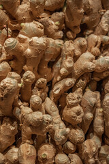 Obraz premium Fresh Ginger Roots Piled for Culinary Use