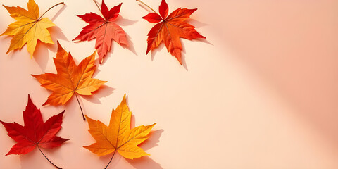 Obraz premium Dried maple leaves on pastel sunlit background with shadow. Autumn, fall, thanksgiving day concept. Flat lay, top view