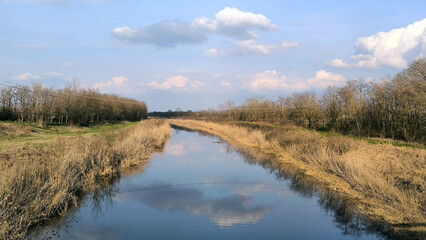 landscape by the river in the spring