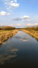 landscape by the river in the spring