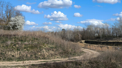 landscape by the river in the spring