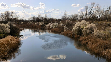 landscape by the river in the spring