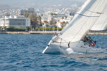 Sailing adventure into the blue