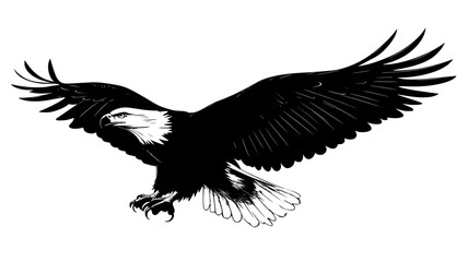 Obraz premium An eagle swoops down toward the ground, talons extended, preparing to catch prey, vector illustration art