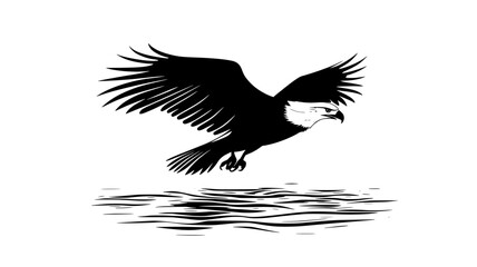 Obraz premium Eagle diving towards water surface with talons extended, vector illustration art