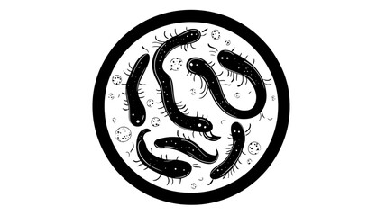 Obraz premium A group of C elegans nematodes feeding on bacteria within a laboratory culture dish, vector illustration art