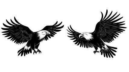 Eagles battling mid-air in a territorial dispute, vector illustration art