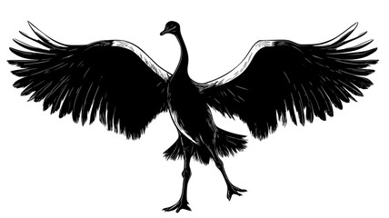 Obraz premium Male ostrich performing a courtship dance with wings spread, vector illustration art