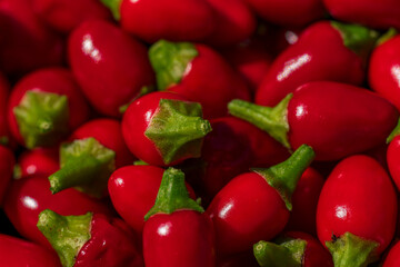 The small red Birds Eye Baby Chili collection after harvest phase