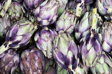 Fresh purple artichoke background, healthy vegetables.