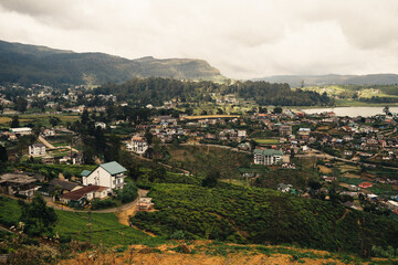 Fototapeta premium A panoramic view of lush hills and quaint cottages in the misty tea gardens 