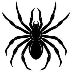 a black spider silhouette on a white background