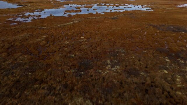 Flying Towards Pingos Landmark In Tuktoyaktuk, Northwest Territories, Canada - Drone Shot