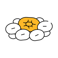 tropical ocean coral line icon vector. tropical ocean coral sign. isolated symbol illustration