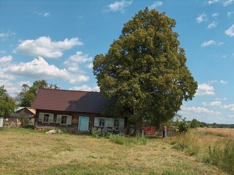 Belarus, Soligorsk, dacha, forest, mushrooms, boletus, greenhouse, flowers, lake, tomatoes, city, buildings, streets, trees, basket, stove, house interior
