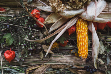 Autumn background from the gifts of nature. Harvest background, Thanksgiving day
