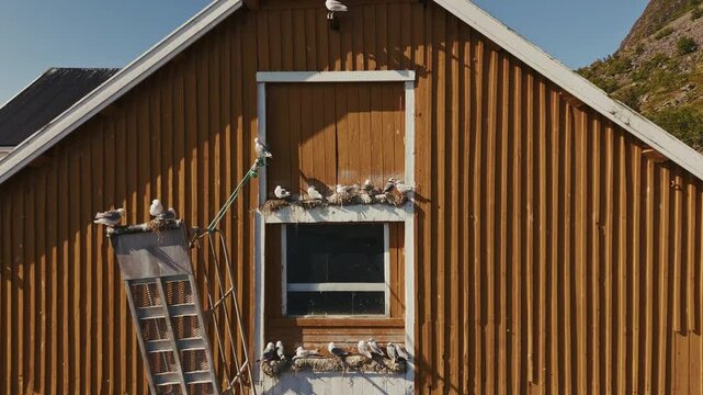Tind Lofoten islands Norway Aerial drone view