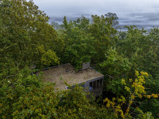 Caba&ntilde;as en mitad de un bosque de eucalipto