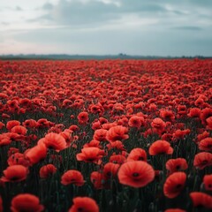 A vibrant poppy field stretches towards the horizon, filled with bright red flowers under a cloudy sky.