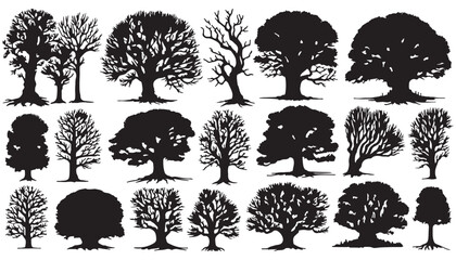 Naked trees silhouettes set. Hand drawn isolated illustrations vector illustration design black and white art