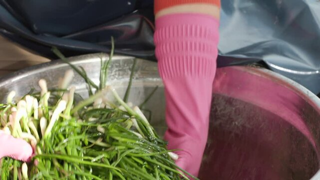 금속 대야에 신선한 파로 파김치를 준비하는 모습