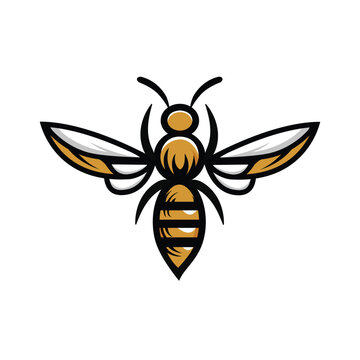 bee vector concept logo template design