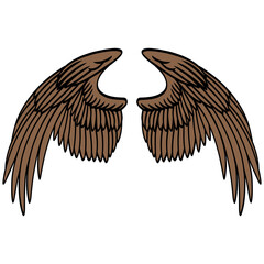 Eagle Bird Wings Illustration