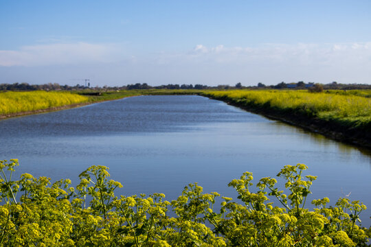landscape with river and blue sky