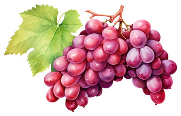 Fototapeta premium PNG Grapes fruit plant food.