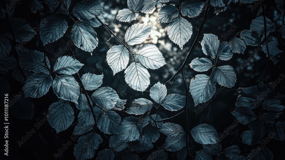 Poster dark and moody leaves illuminated by soft light, creating an ethereal atmosphere in a natural settin