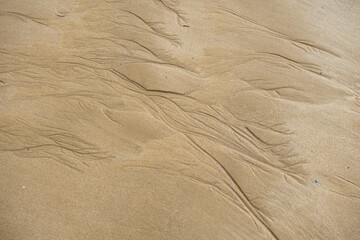waves on the sand