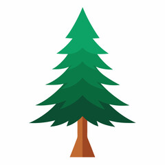 Fototapeta premium vector illustration of spruce