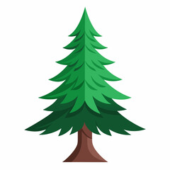 Obraz premium vector illustration of spruce
