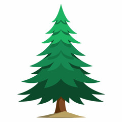 Fototapeta premium vector illustration of spruce