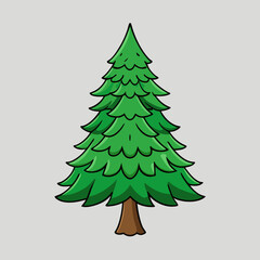 Obraz premium vector illustration of spruce