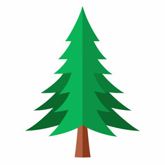 Obraz premium vector illustration of spruce