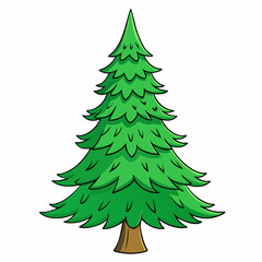 vector illustration of spruce