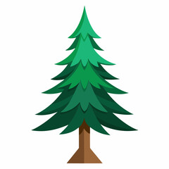 Fototapeta premium vector illustration of spruce