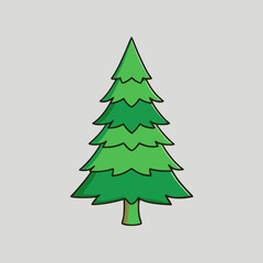 Fototapeta premium vector illustration of spruce
