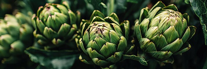 Fototapeta premium close up of artichokes, full frame, food advertising