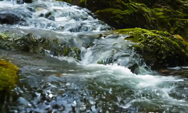 Waterfall in a Lush Forest
