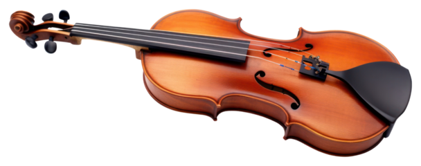 PNG Violin violin string performance.