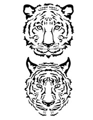 2 Tiger Head | Tiger | Big Cat | Zoo Animal | Striped Animal | Jungle Animal | Carnivorous | Jungle Predator | Original Illustration | Vector and Clipart | Cutfile and Stencil