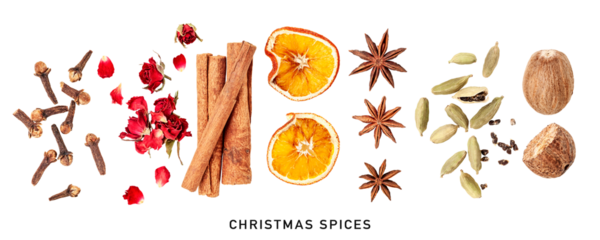 Colorful foam letters abc alphabet collection isolated. PNG with transparent background. Flat lay. Without shadow
