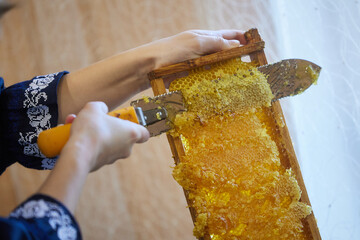 A female beekeeper cuts honey from the frame with a special knife.