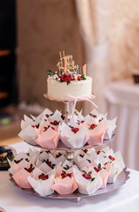 Beautiful birthday cake with cupcakes with colorful birthday candles and raspberries. Holiday cake. 